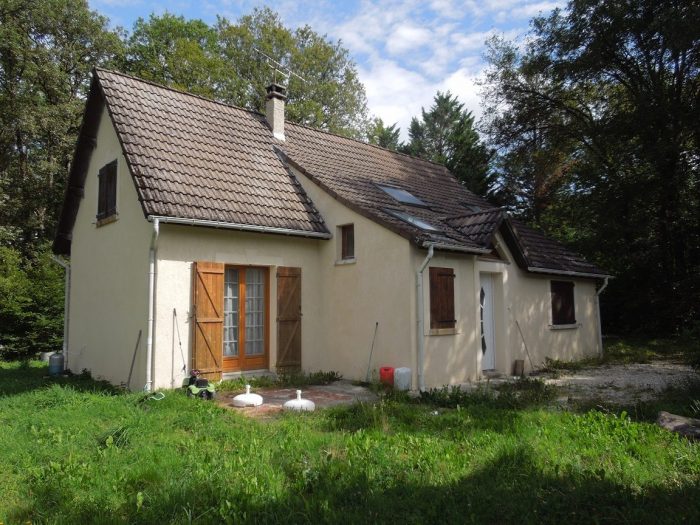 Maison individuelle à vendre, 6 pièces - Bazoches-sur-le-Betz 45210