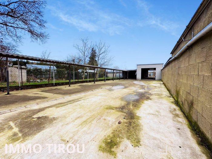 Entrepôt à louer, 234 m² - Montigny-Le-Tilleul 6110
