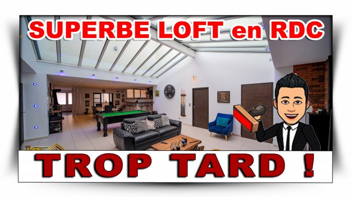 Loft à vendre, 7 pièces - Saint-Dié-des-Vosges 88100