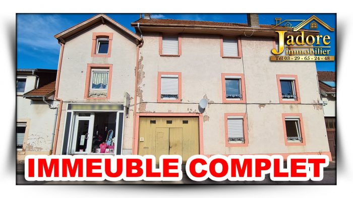 Immeuble à vendre, 300 m² - Saint-Dié-des-Vosges 88100