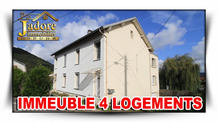 Immeuble à vendre, 241 m² - Saint-Dié-des-Vosges 88100