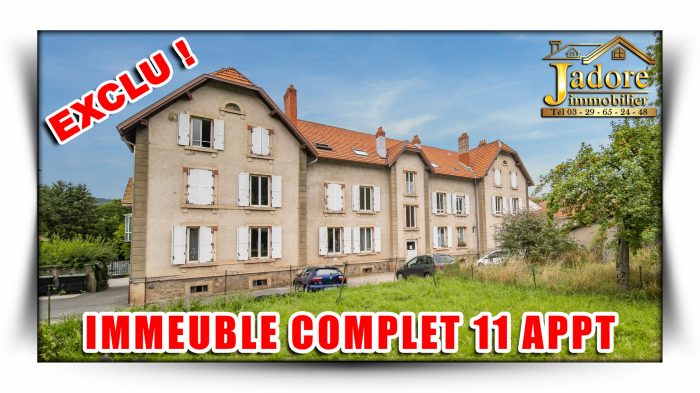 Immeuble à vendre, 800 m² - Anould 88650