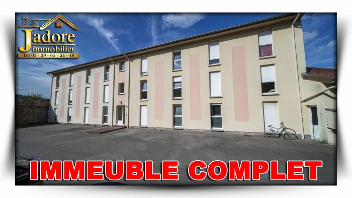 Immeuble à vendre, 450 m² - St die 88100