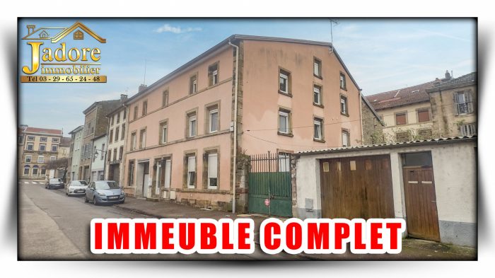 Immeuble à vendre, 230 m² - Rambervillers 88700
