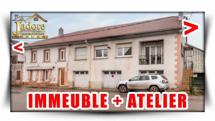 Immeuble à vendre, 100 m² - Saint-Dié-des-Vosges 88100