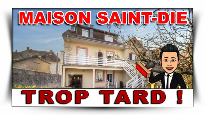 Maison à vendre, 8 pièces - St die 88100