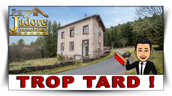 Maison à vendre, 10 pièces - Provenchères-sur-Fave 88490