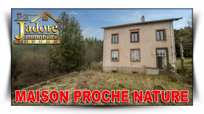 Maison à vendre, 10 pièces - Provenchères-sur-Fave 88490