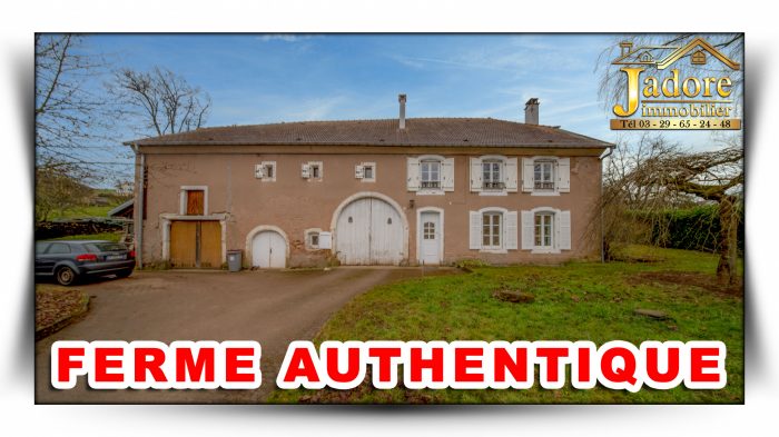Maison à vendre, 10 pièces - Saint-Dié-des-Vosges 88100