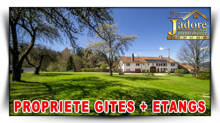 Maison à vendre, 25 pièces - Saint-Dié-des-Vosges 88100