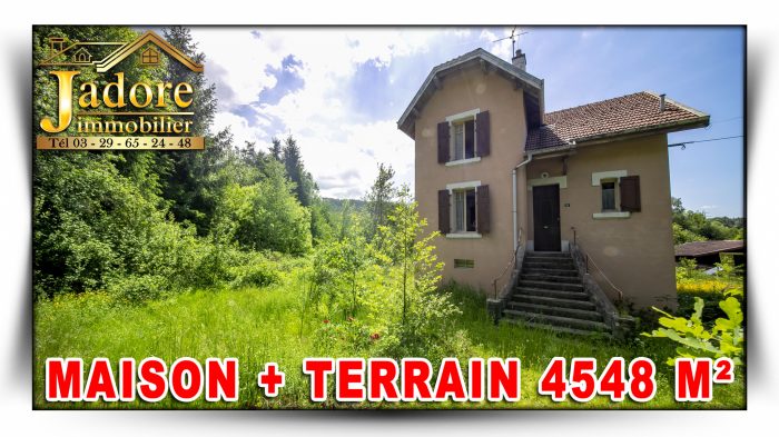 Maison à vendre, 5 pièces - Docelles 88460