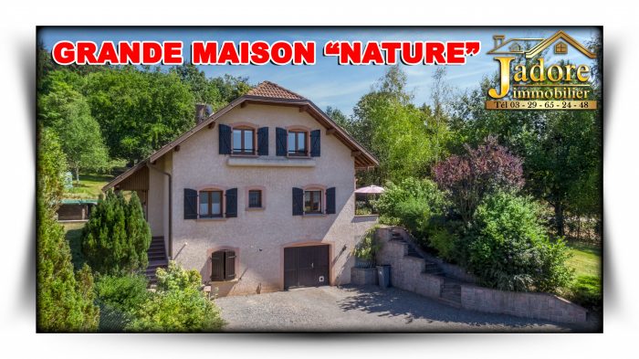 Maison à vendre, 7 pièces - Saint-Dié-des-Vosges 88100