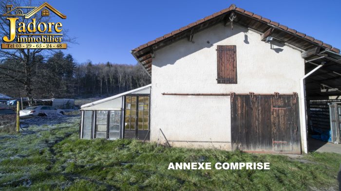 Maison à vendre, 5 pièces - Saint-Dié-des-Vosges 88100