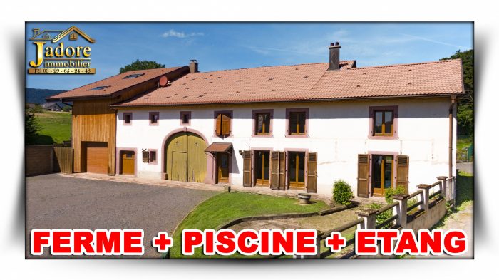 Maison à vendre, 12 pièces - Saint-Dié-des-Vosges 88100