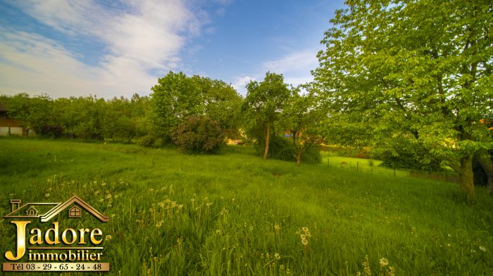 Maison à vendre, 4 pièces - Anould 88650