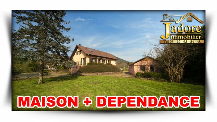 Maison à vendre, 9 pièces - Saint-Dié-des-Vosges 88100