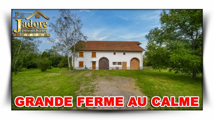Maison à vendre, 8 pièces - Saint-Léonard 88650