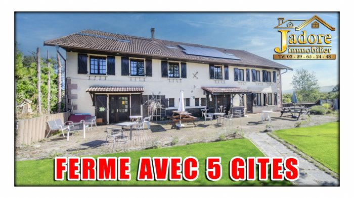 Maison à vendre, 18 pièces - Saint-Dié-des-Vosges 88100