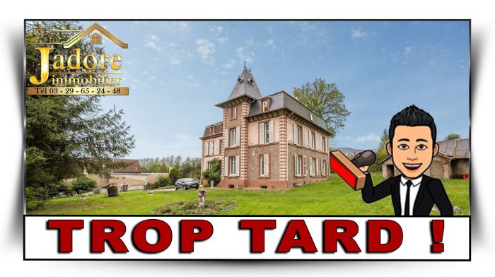Maison à vendre, 15 pièces - Saint-Dié-des-Vosges 88100