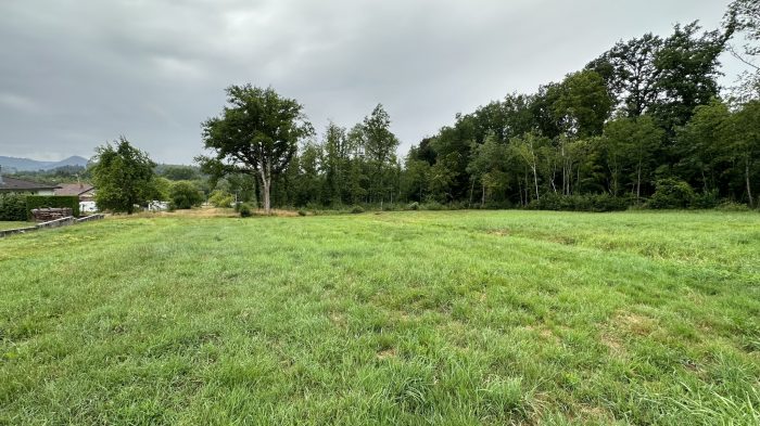 Terrain à vendre, 1686 m² - Saint-Dié-des-Vosges 88100