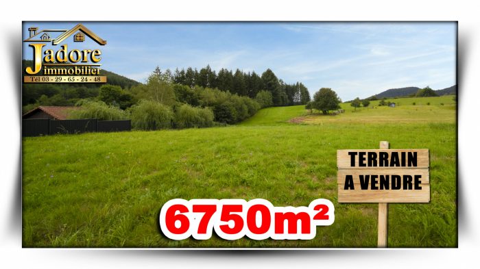 Terrain à vendre, 6750 m² - Saint-Dié-des-Vosges 88100