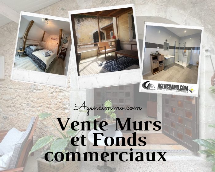 Fonds de commerce à vendre, 216 m² - Saint-Paterne-Racan 37370