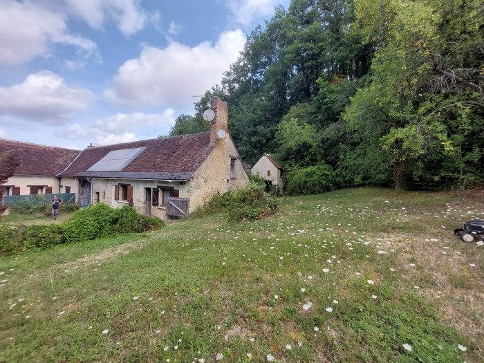 Maison ancienne à vendre, 2 pièces - Loir en Vallée 72340