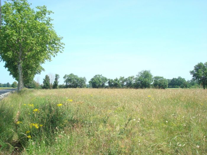 Terrain agricole à vendre, 01 ha - Belleville-en-Beaujolais 69220