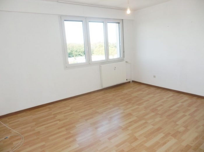 Appartement à vendre, 1 pièce - Lingolsheim 67380