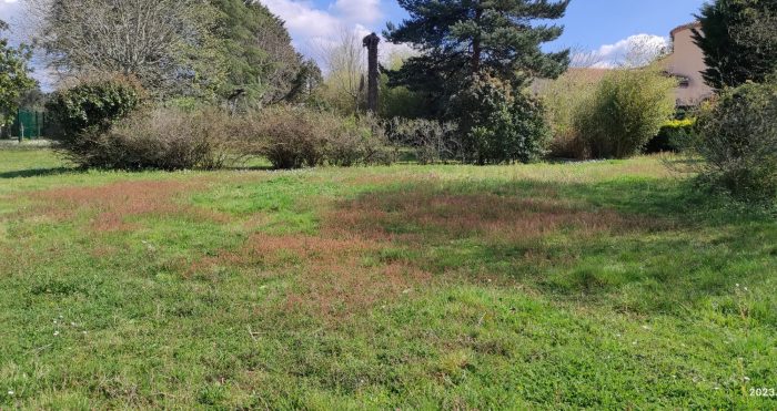 Terrain constructible à vendre, 637 m² - Léognan 33850