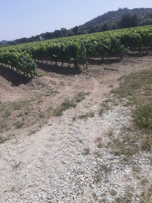 Terrain viticole à vendre, 118141 m² - Nord-Pas-de-Calais
