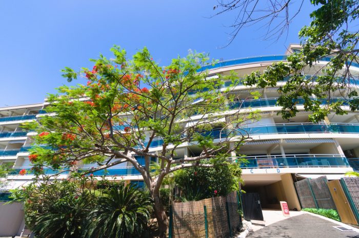 Appartement à vendre, 1 pièce - Nouméa 98800