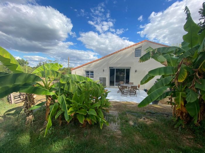 Maison individuelle à vendre, 8 pièces - Saint-Martin-des-Noyers 85140