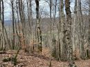 2,4 hectares entre vallée du Mars et Anglards de Salers