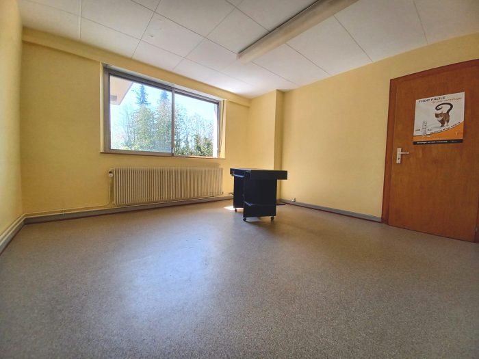 Local professionnel à louer, 66 m² - Drulingen 67320