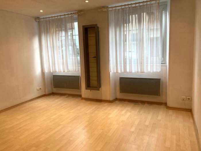 Appartement à vendre, 1 pièce - Reinhardsmunster 67440