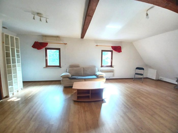 Immeuble à vendre, 800 m² - Saverne 67700