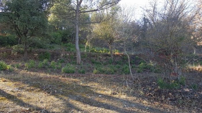 Terrain constructible à vendre, 800 m² - Mirabeau 84120