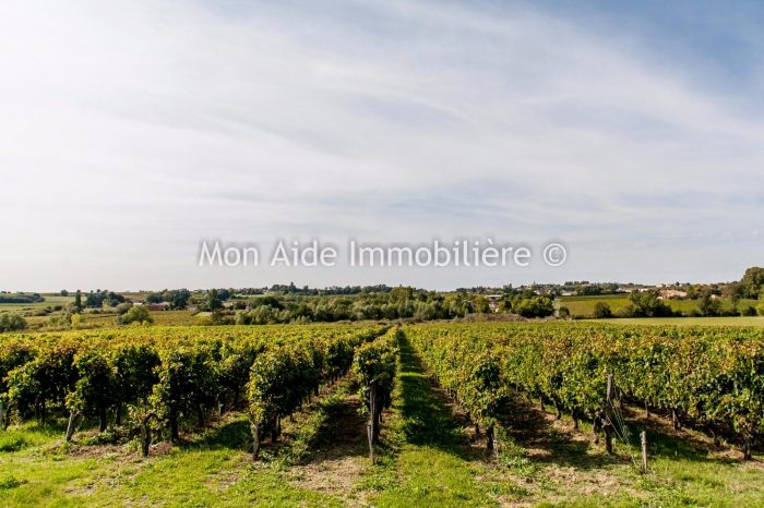 Photo Propriété viticole - agriculture en conversion biologique (récolte 2024) image 15/28