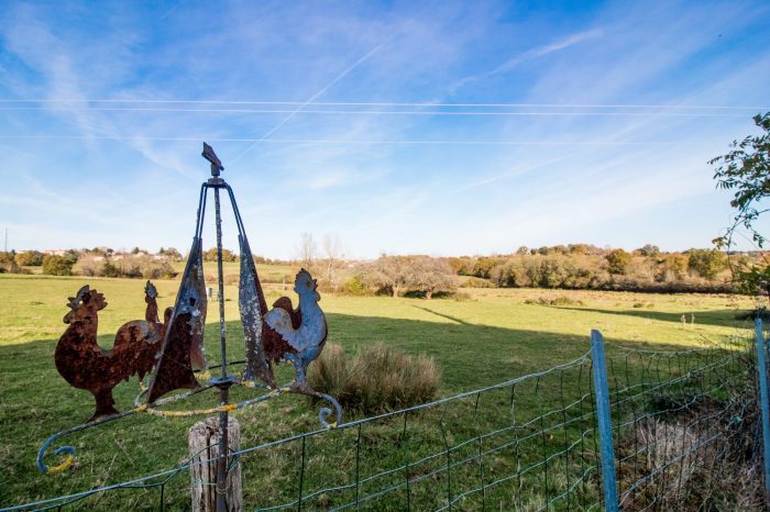 Ferme à vendre, 15 pièces - Thiviers 24800