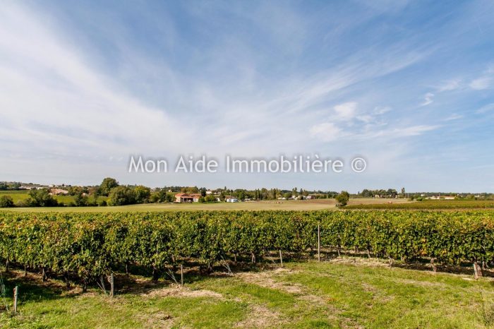 Photo Propriété viticole - agriculture en conversion biologique (récolte 2024) image 11/25