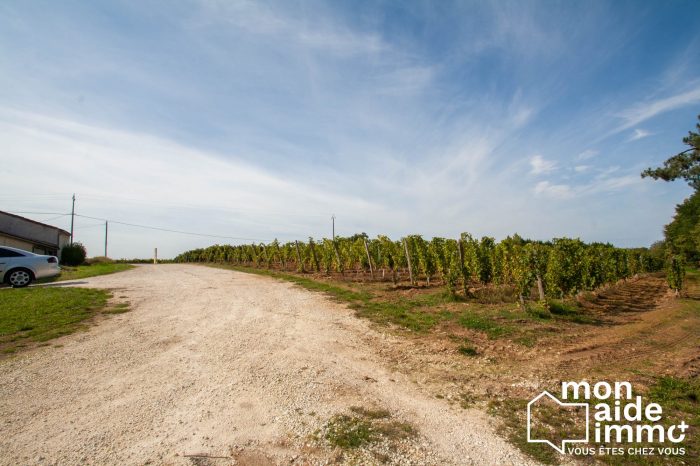 Photo Propriété viticole - agriculture biologique image 5/7