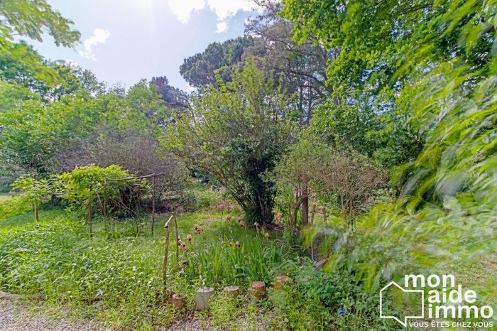 Photo Très belle Girondine sur  un remarquable jardin arboré de plus de 7000m² image 22/50