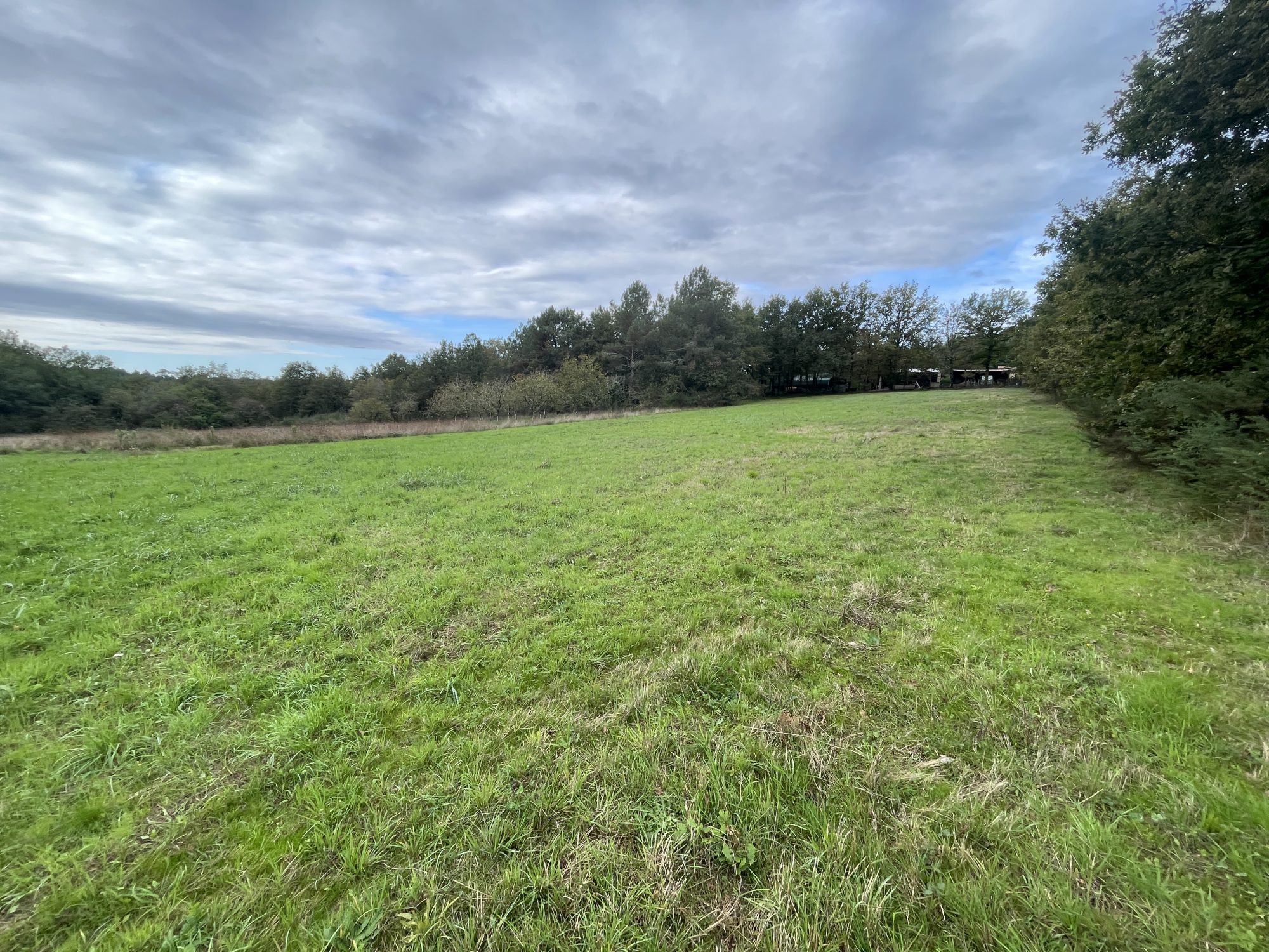 Vente Terrain SAINT-ROMAIN-ET-SAINT-CLEMENT 24800 Dordogne FRANCE