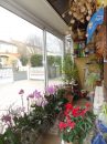 5 rooms Castres  91 m²  House