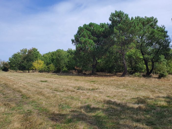 Etang à vendre, 53420 m² - L'Île-d'Olonne 85340