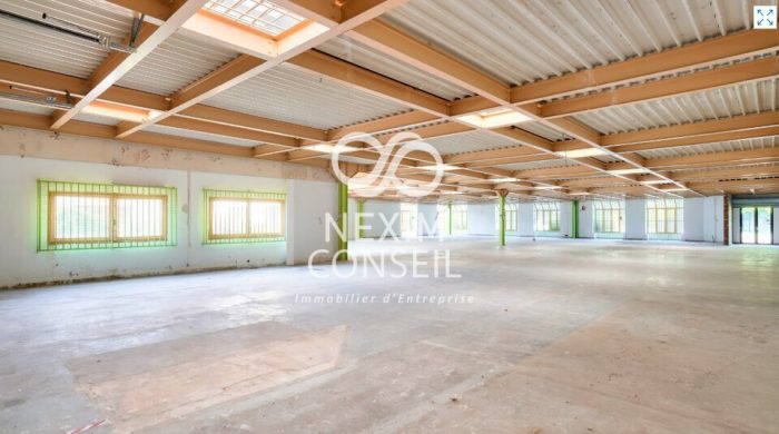 Entrepôt à louer, 763 m² - Croissy-Beaubourg 77183