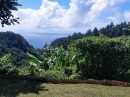  Terrain 0 m² Afaahiti Presqu'île  pièces