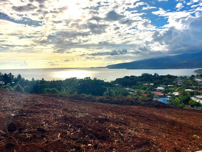 Photo TOAHOTU MITIRAPA, TERRAIN DE 2000 M², VUE MER image 2/2