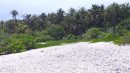 TUAMOTU, A VENDRE EN EXCLUSIVITE SUR RANGIROA, TERRAIN DE 4,9 hectares BORD DE MER